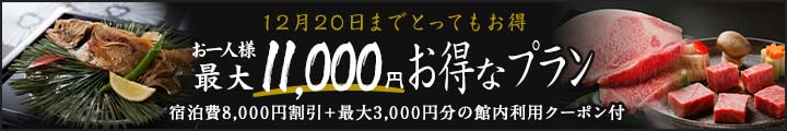 11,000円お値引きプラン