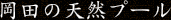 岡田の天然プール